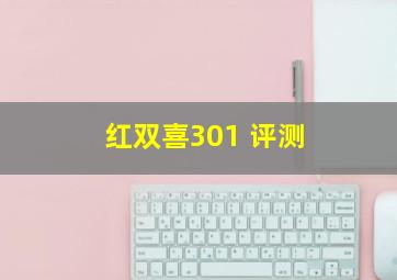 红双喜301 评测